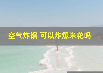 空气炸锅 可以炸爆米花吗